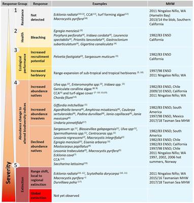 Resistance, Extinction, and Everything in Between – The Diverse Responses of Seaweeds to Marine Heatwaves